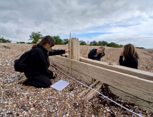 Year 13 Geography Students Investigate Coastal Defences at Goring-by-Sea